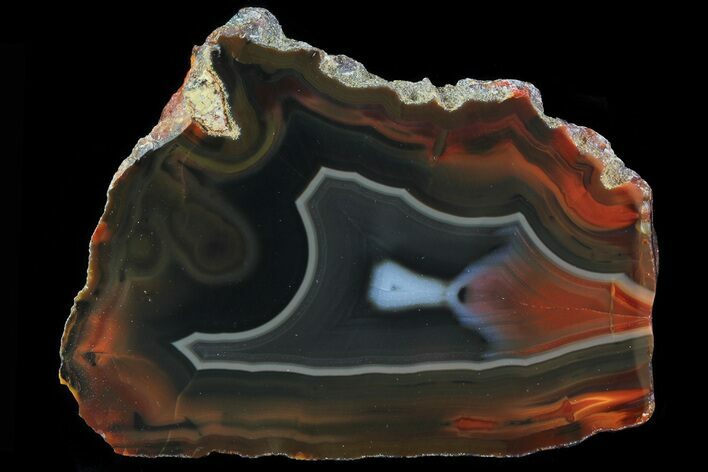 Beautiful Condor Agate From Argentina - Slab #79513
